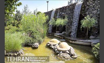 تنفس طبیعت زیبای منطقه ۷ در روزهای حضور کمرنگ شهروندان 5