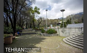 بوستان نیاوران 7