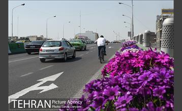گل آرایی پل سیدخندان 24