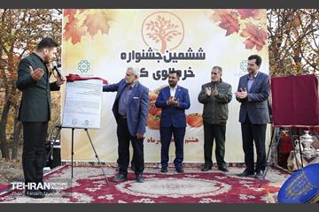 ششمین جشنواره خرمالو 5