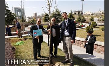 آیین کاشت درخت صلح و دوستی 46