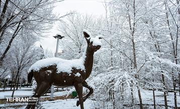 روز برفی در منطقه 8 41