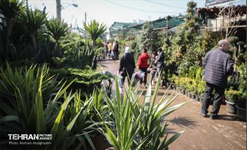 بازار گل شهید محلاتی در آخرین روزهاى سال 35