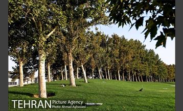 میدان و برج آزادی تهران 10