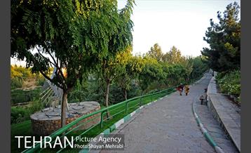 بوستان نهج البلاغه (فاز١) 1