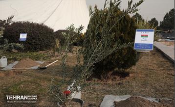 آئین روز درختکاری با حضور سفیران و نمایندگان کشورهای خارجی 41