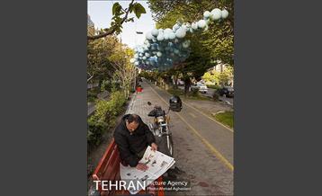 بلوار کشاورز 12