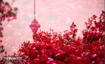 به وقت اردیبهشت؛ باغ ایرانی 15