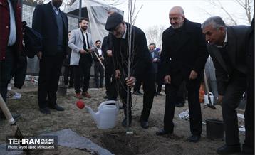 مراسم سومین آیین کاشت نهال صلح و دوستی  37