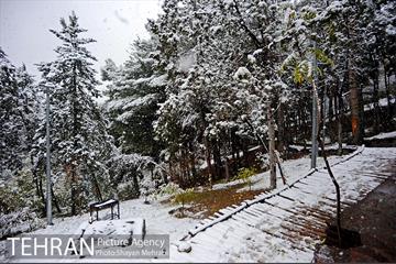 بارش برف پاییزی در بوستان طالقانی 28