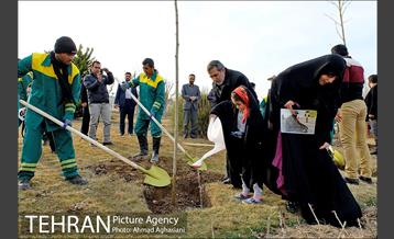 روز درختکاری در گنبد مینا 6