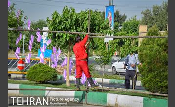 اقدامات شهرداری منطقه ۲۰ در نماز عید فطر حرم حضرت عبدالعظیم حسنی(ع) 12