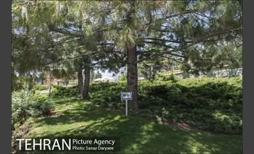 موزه طبیعت و حیات وحش ایران دارآباد‎ 25