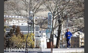 بوستان پرواز 18