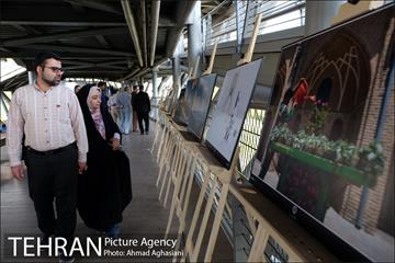 نمایشگاه “طبیعت تهران” بر روی پل طبیعت 22