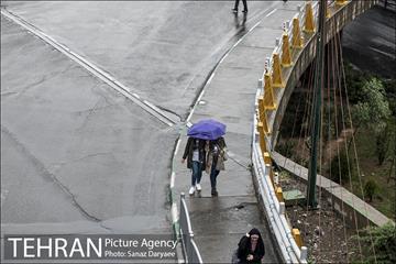 باران بهاری در تهران 24
