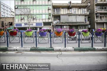 استقبال از بهار در خیابانهای تهران 15