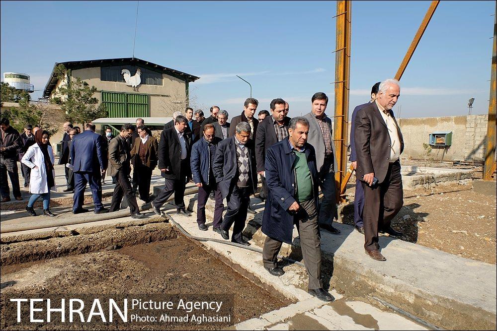 بررسی بوی نامطبوع در مسیر فرودگاه امام خمینی(ره) -2 15