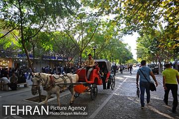 ماشین دودی 8