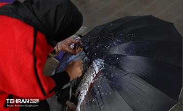 سیزدهمین جشنواره چترنویسی «باز باران» 20