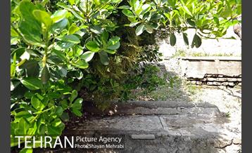 گورستان جوزدرختک (آجودانیه) 26