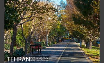 پاییز بلوار کشاورز 2