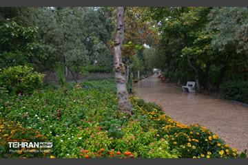 بارش باران پاییزی در تهران 17