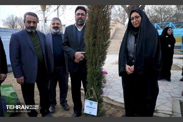 جشن درختکاری در منطقه 18 15