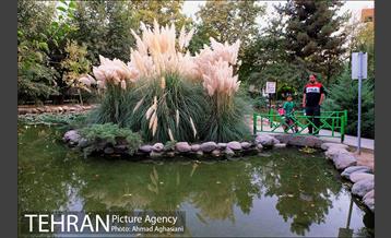 بوستان سهند 5