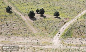 بازدید اصحاب رسانه از کمربند سبز 21