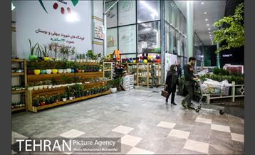 یک شب با شهردار شب 6