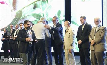 جشنواره شهید رجایی 7