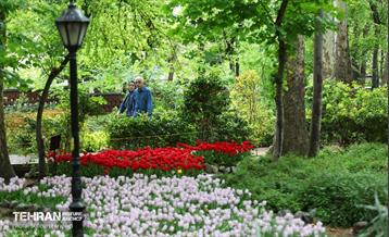لاله‌ها میهمان باغ ایرانی 18