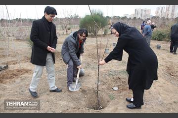 کاشت نهال یادمان تشکل ها در بوستان سمن ها 21