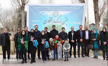 غرس ۱۱۰۰ نهال در منطقه ۱۱ 28