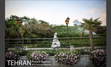 شهرنگار؛ باغ هنر 16