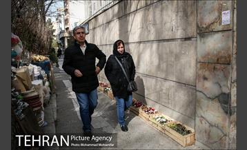 تهران گردی احمد مسجدجامعی 19