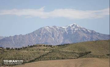 بازدید اصحاب رسانه از کمربند سبز 24