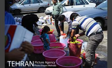 بازار میوه تربار مرکزی 35