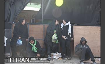 زائران اربعین حسینی 1 10