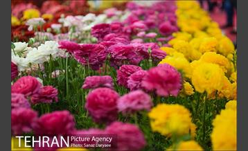 شانزدهمین نمایشگاه گل و گیاه تهران 9