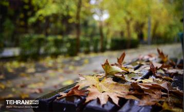 یک روز پاییزی در منطقه ۱۴