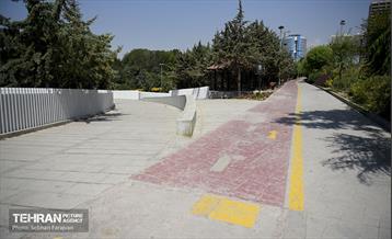 پل تندرستی 24