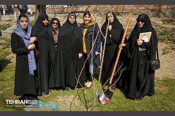 آیین درختکاری در منطقه‌5 5