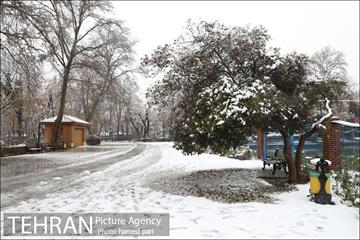 روز برفی تهران در پارک شهر 4
