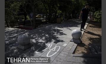 بلوار کشاورز 21