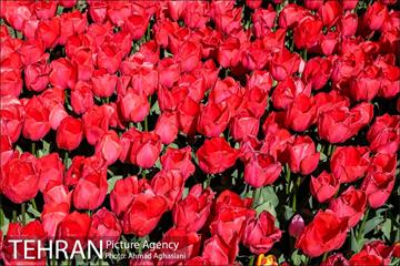 نوروز در باغ موطه هنر ایرانی 3