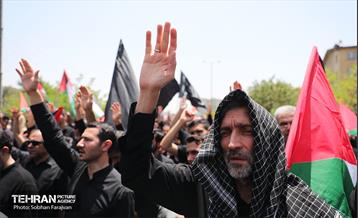 دسته عزاداری دانشگاه امام صادق(ع) در ظهر تاسوعا 8