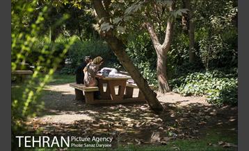 ظهر گرم تابستان 3