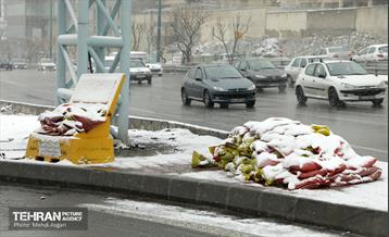 بارش برف زمستانی در منطقه ۲ 1